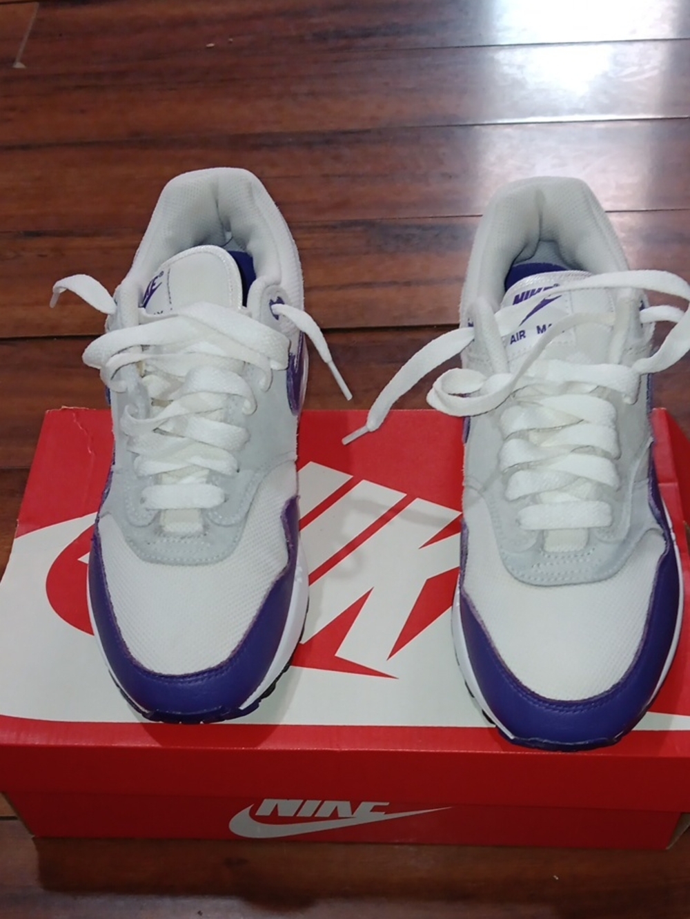 NIKE AIR MAX 1 PURPLE
